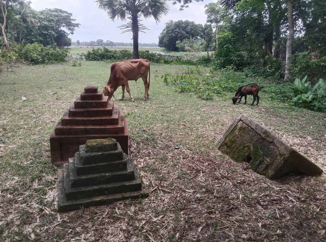 পটুয়াখালীর কলাপাড়া উপজেলার মুম্বিপাড়ায় শ্মশানের জমিতে গরু-ছাগল চড়ান স্থানীয়রা। ছবি: রাজনীতিডটকম