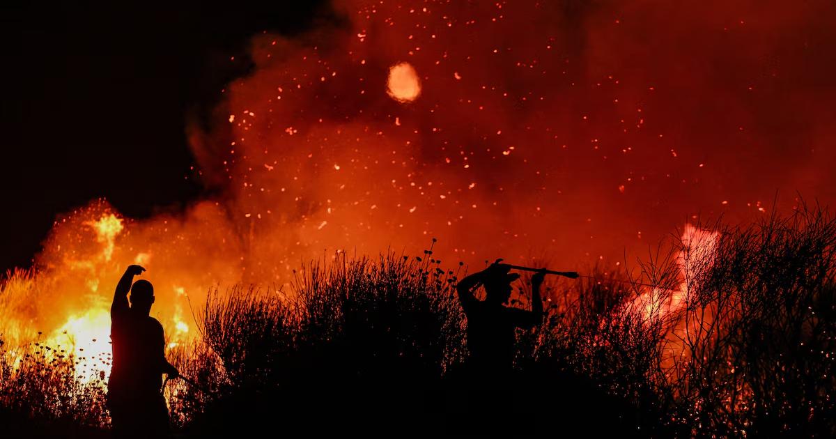 Wildfire In Delvina Of Albenia Reuters 14-08-2025
