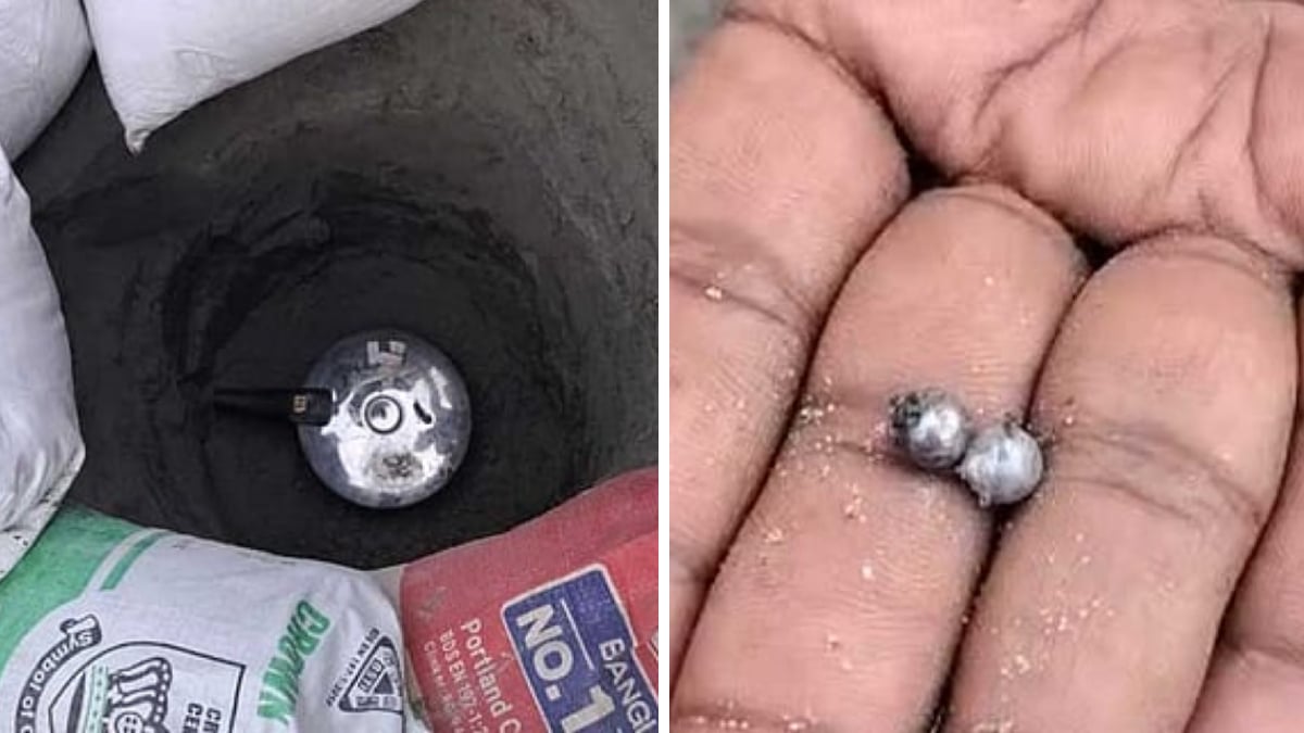 Pressure Cooker Bomb 31-07-2026