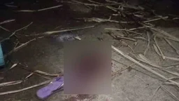 ফতুল্লায় মাদরাসার ছাদে খেলতে গিয়ে বিদ্যুৎস্পৃষ্টে দগ্ধ ৫ ছাত্রী