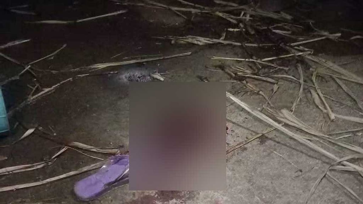 ফতুল্লায় মাদরাসার ছাদে খেলতে গিয়ে বিদ্যুৎস্পৃষ্টে দগ্ধ ৫ ছাত্রী
