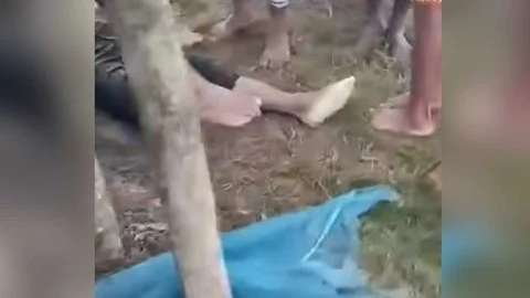 ছবি: সংগৃহীত