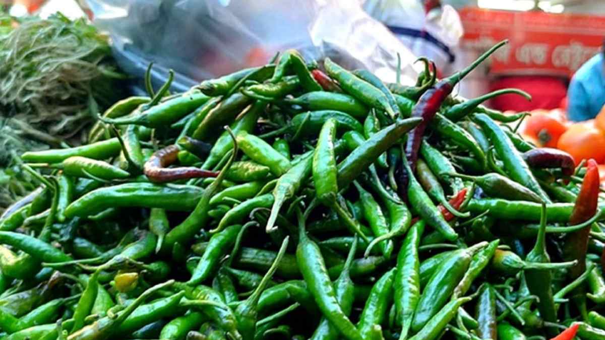 লাগামছাড়া কাঁচামরিচের দাম, কর কমিয়ে আমদানির অনুমতি