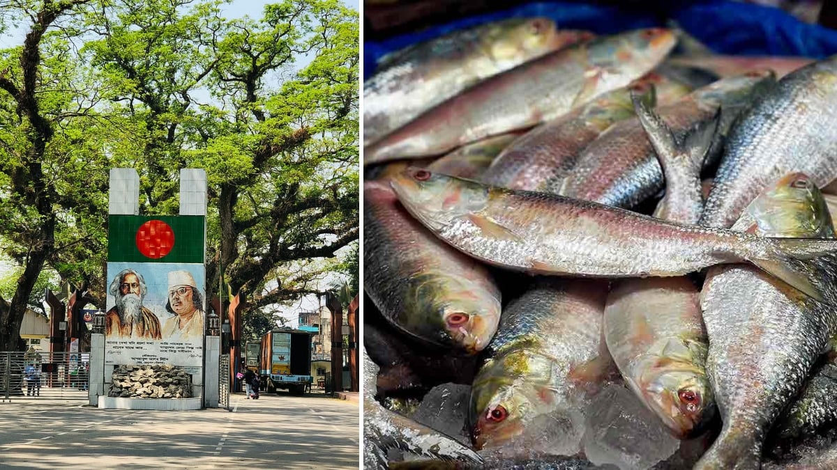 ১০৩ অনাপত্তি সনদ বাতিল, ভারত থেকে ইলিশ আমদানি বন্ধ