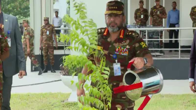 Army Tree Plantation