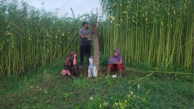 BGB thwarts attempt to push three people back across the Chuadanga border.