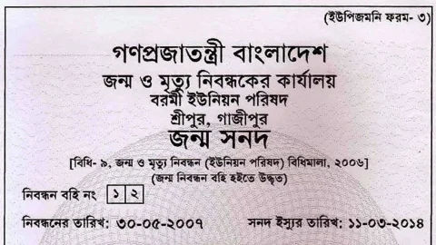 জন্ম সনদ। ফাইল ছবি