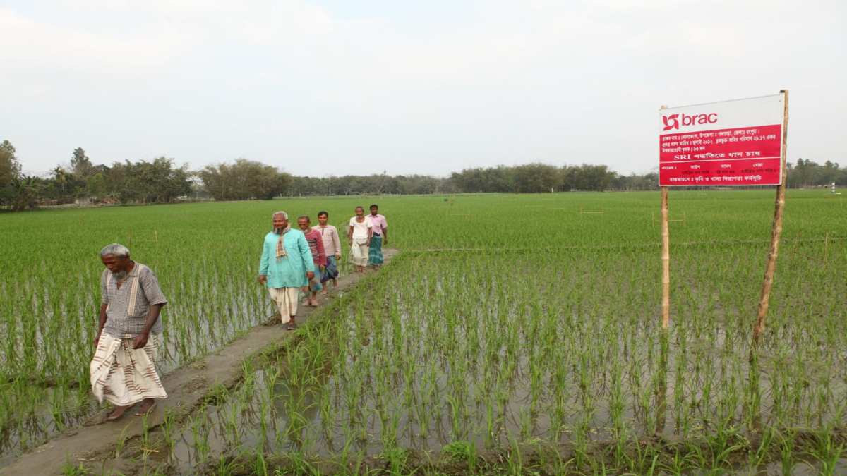 BRAC Microfinance allocates Tk 328.5 crore for agriculture sector
