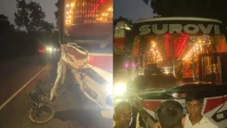 বাসের সঙ্গে মুখোমুখি, প্রাণ গেল মোটরসাইকেলে থাকা ৩ কিশোরের