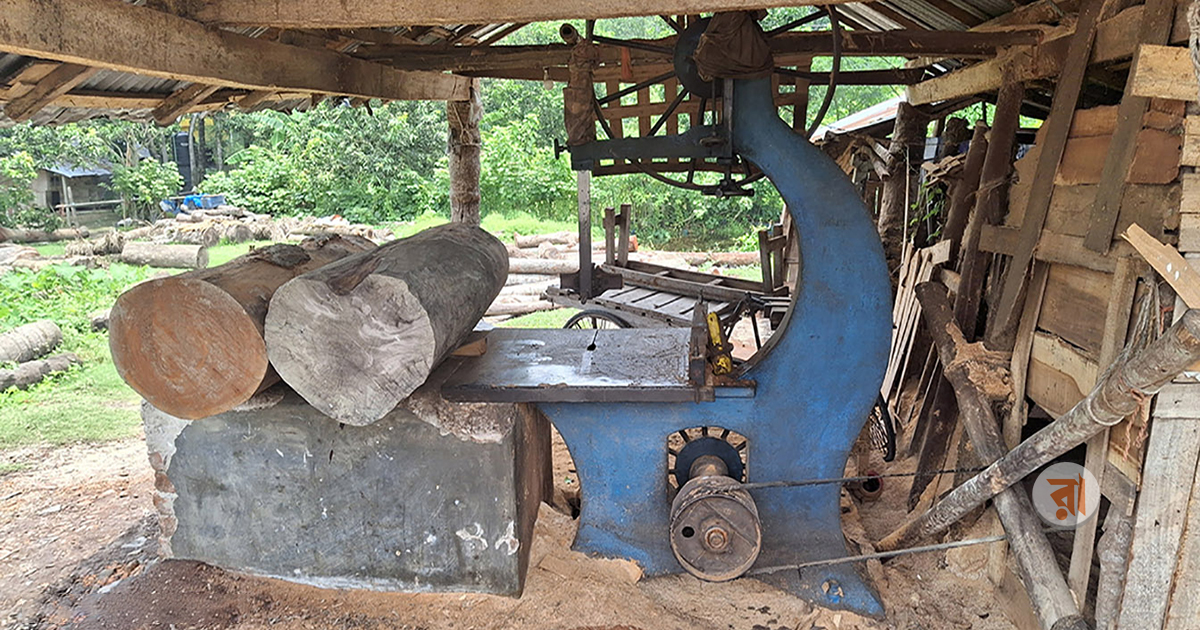 Benapole-Sawmill-02-Photo-19-06-2025