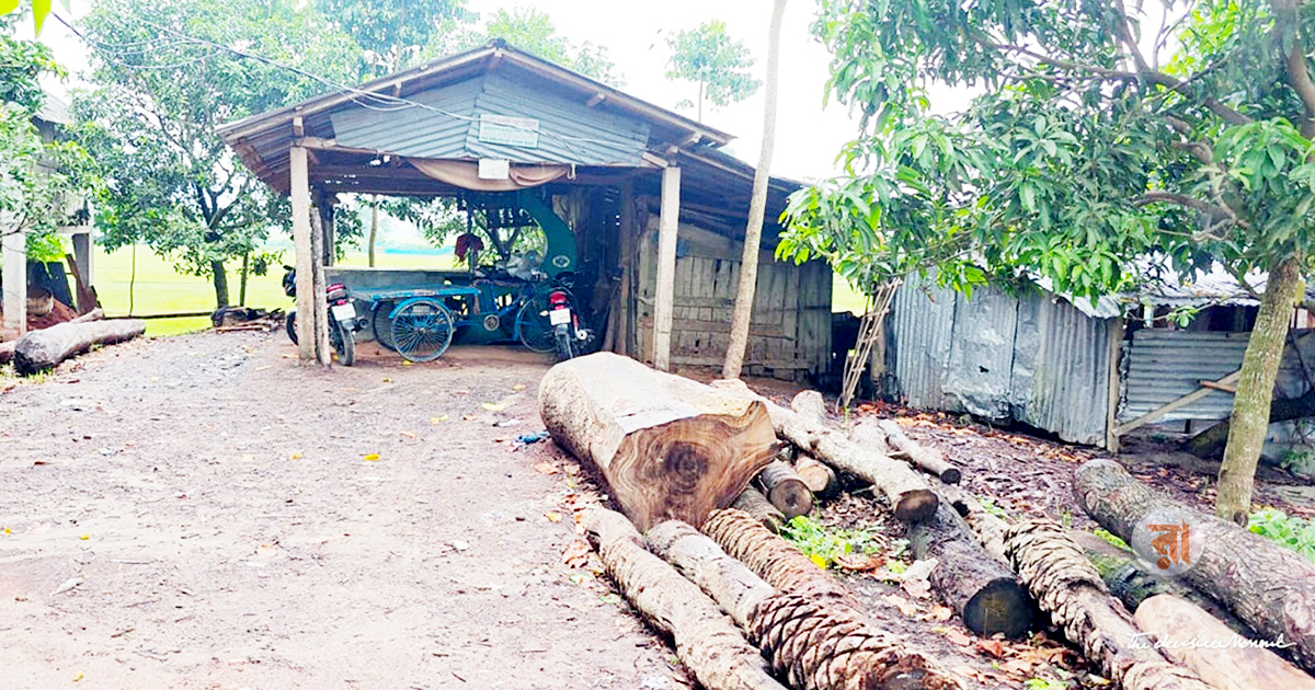 গোগা-পুটখালীর ৬ করাতকল বন্ধ, বিপাকে ব্যবসায়ীরা