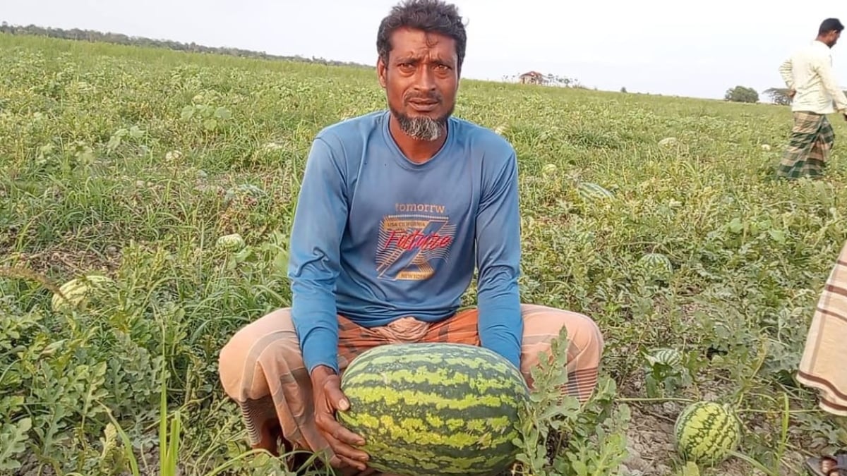 পাকা তরমুজ হাতে গুলিশাখালীর চাষি মঞ্জু গাজী, চোখে হতাশা । ছবি: রাজনীতি ডটকম
