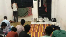 কম্বোডিয়ায় স্ক্যাম সেন্টার থেকে উদ্ধার ৩০ বাংলাদেশি দেশে ফিরছেন মঙ্গলবার