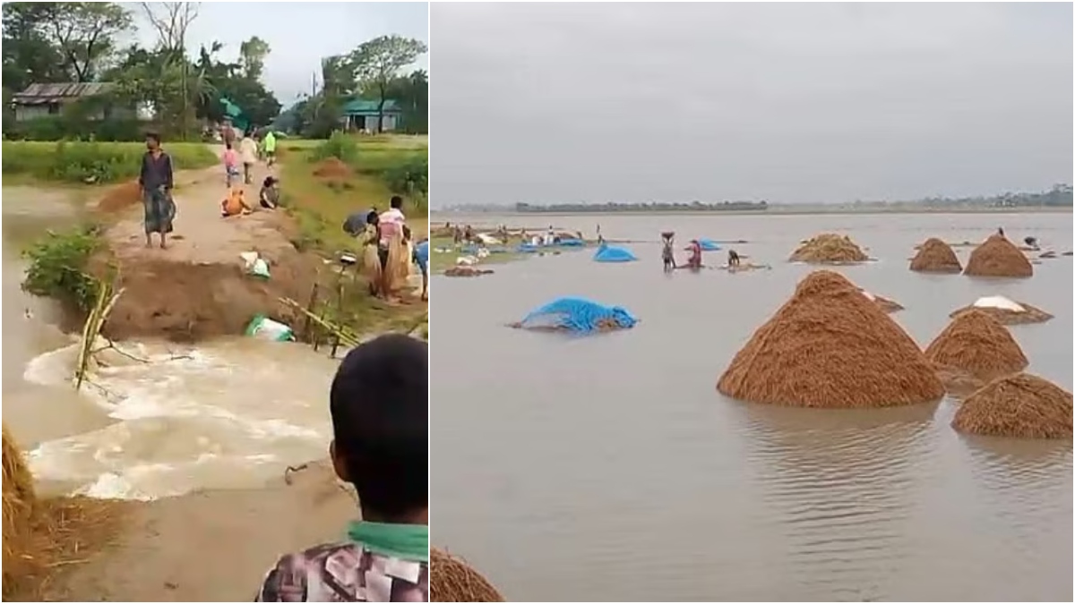 Crops submerged and two embankments collapse amid heavy rain and upstream flash floods in Sunamganj