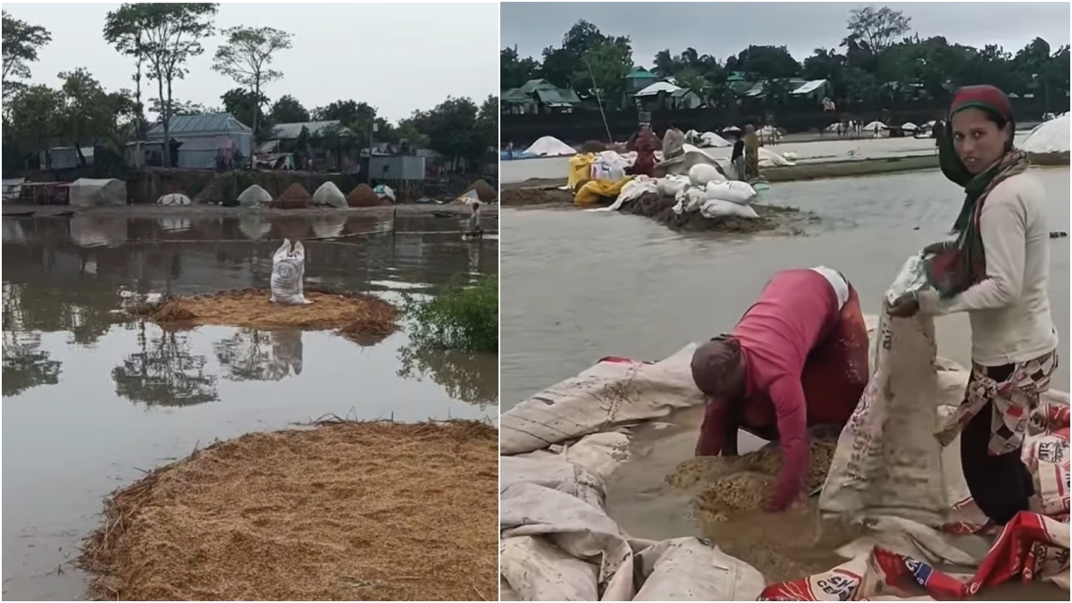 Cut paddy floating in floodwater in Kishoreganj haor, farmers in distress (1)