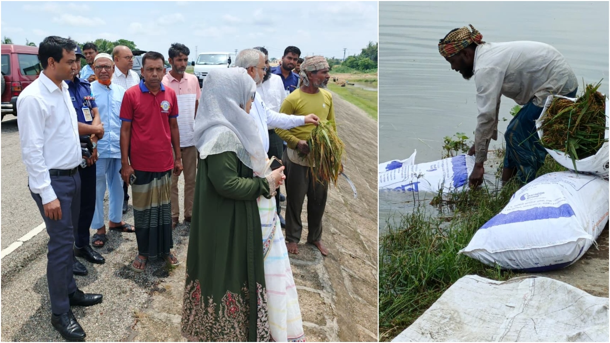 DC inspects crop loss in Kishoreganj haor as devastated farmers break down