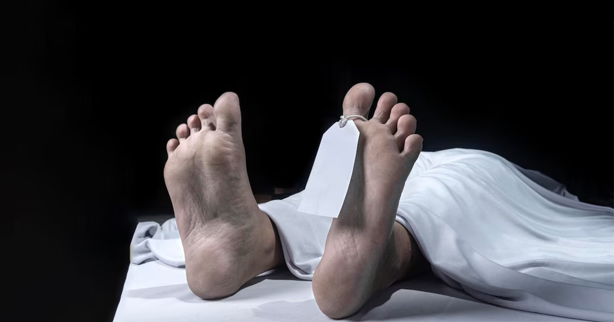 Dead-Body-Motif-New-Size-20-04-2025