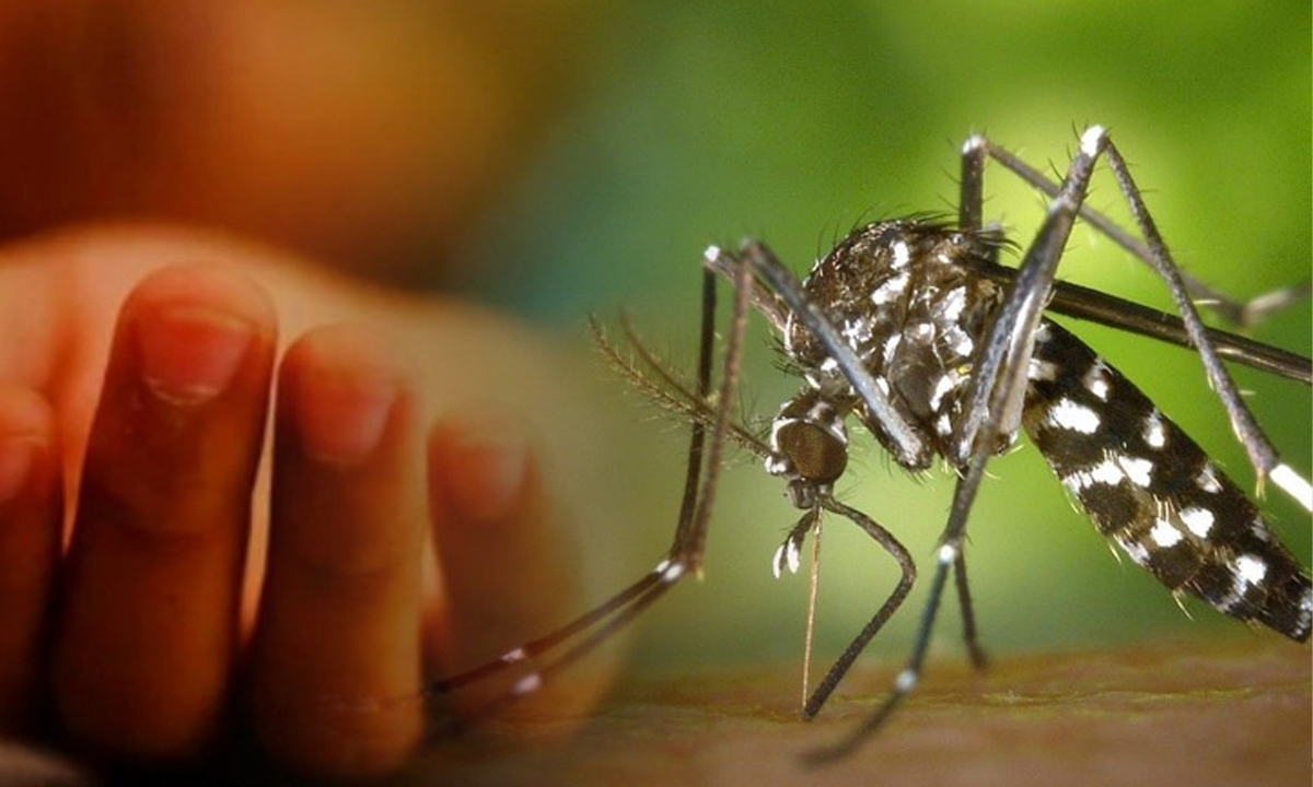 Dengue