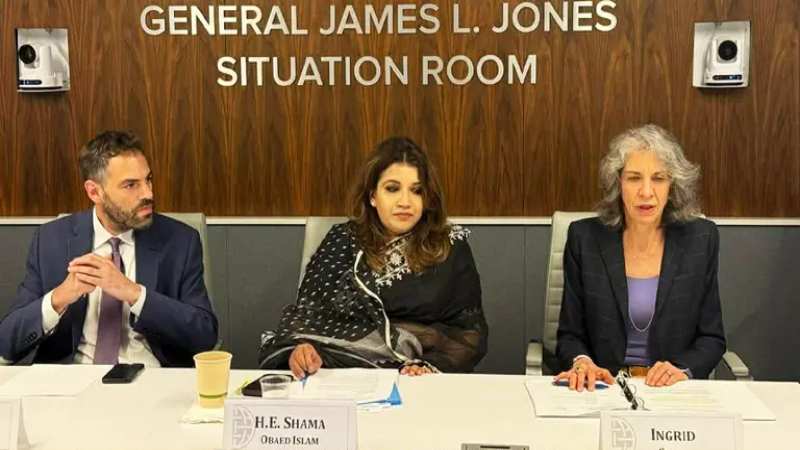 Dhaka, Washington pledge to work together to resolve Rohingya crisis