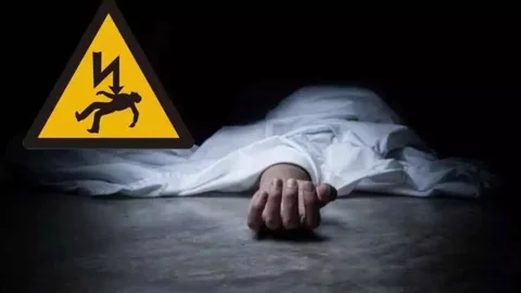 নেত্রকোনায় বিদ্যুতায়িত হয়ে ২ ভাইয়ের মৃত্যু, আহত মা