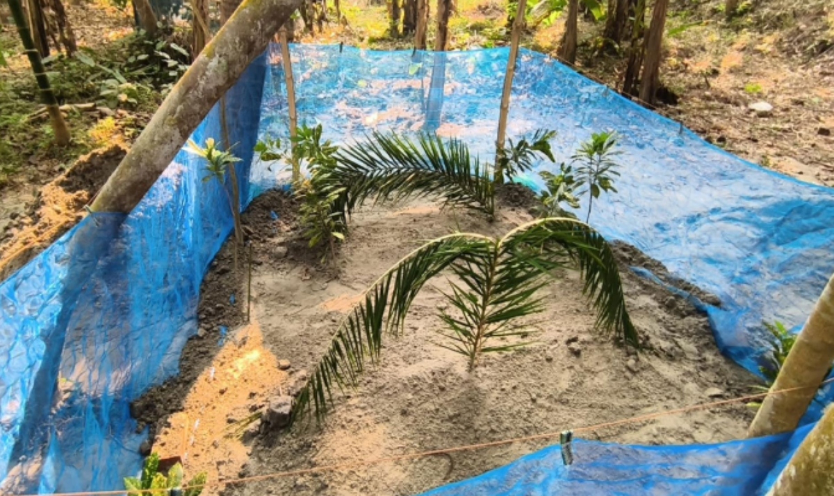 কারাবন্দি ছাত্রলীগ নেতার স্ত্রী-সন্তানকে পাশাপাশি দাফন