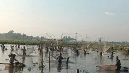 হাইত— বিল শুকালে জেগে ওঠার উৎসব