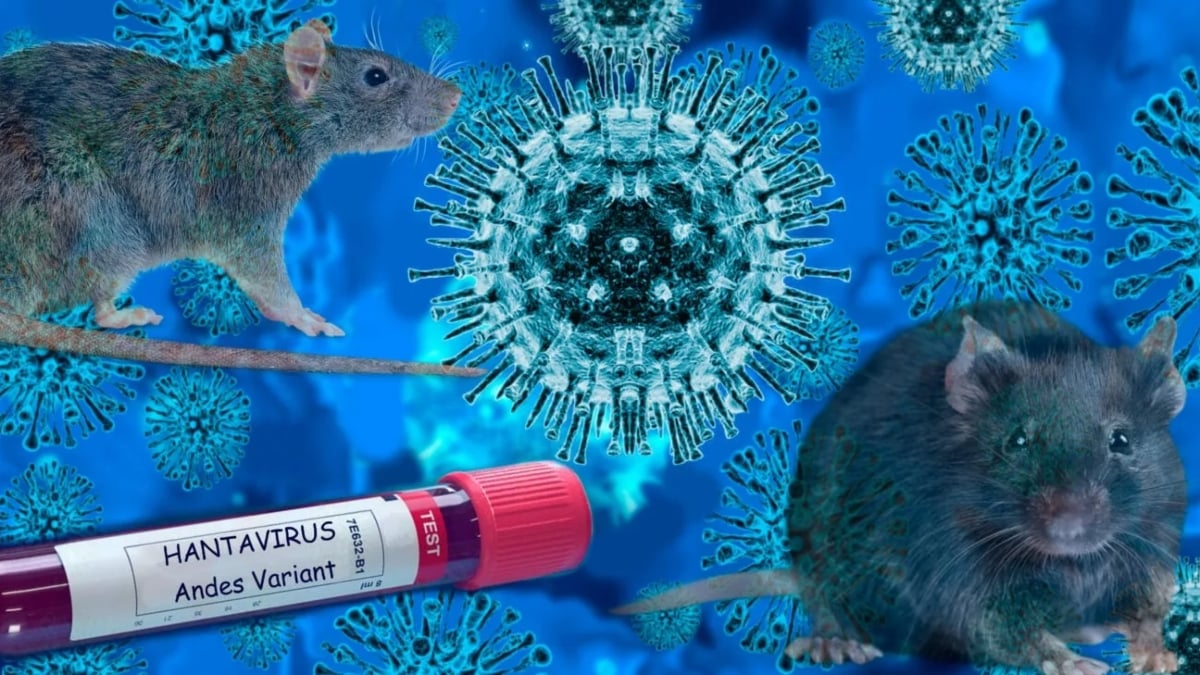 Hantavirus