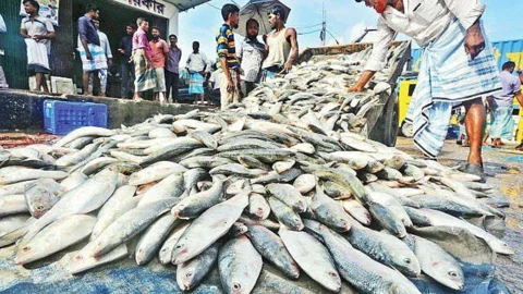 মধ্যরাত থেকে ইলিশ ধরা বন্ধ, উপকূলে ফিরছেন জেলেরা