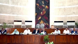 আইনশৃঙ্খলা পরিস্থিতির ‘উন্নতি’, স্বরাষ্ট্রের স্থায়ী কমিটির সন্তোষ প্রকাশ
