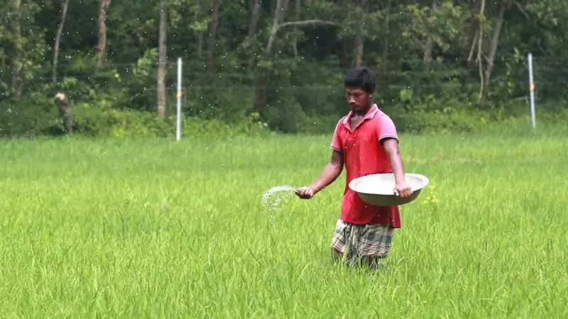 ইরান যুদ্ধের কারণে বাংলাদেশে সার সংকটের শঙ্কা কতটা?
