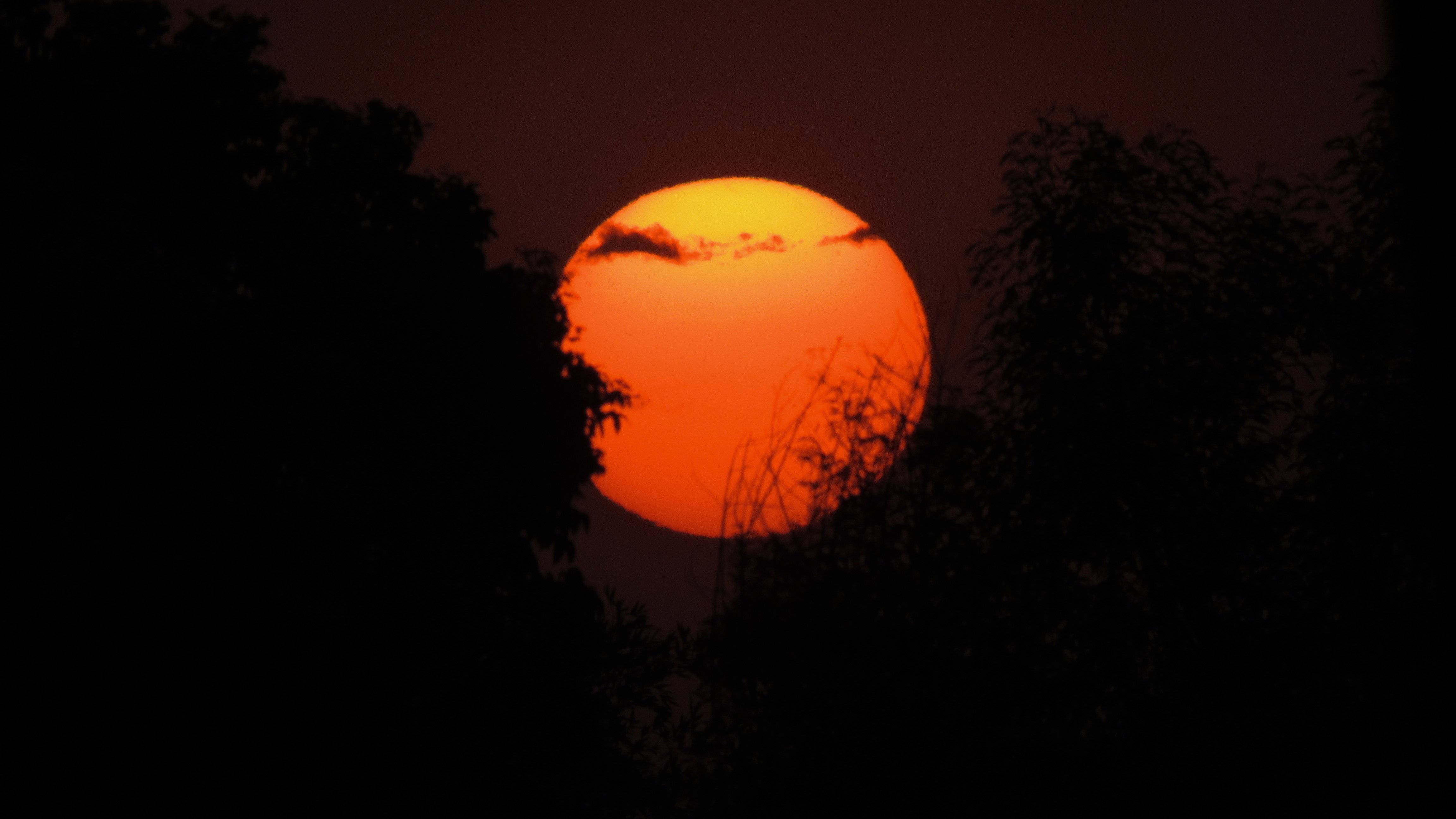 সকাল ও সন্ধ্যায় সূর্য লাল কেন?
