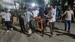 দেশ-বিদেশের টাকায় জবিতে সোয়া লাখের গরু, ‘আনন্দ মিছিল’