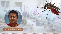 ডেঙ্গু নিয়ে যেসব ভুল ধারণা হয়ে উঠতে পারে প্রাণঘাতী