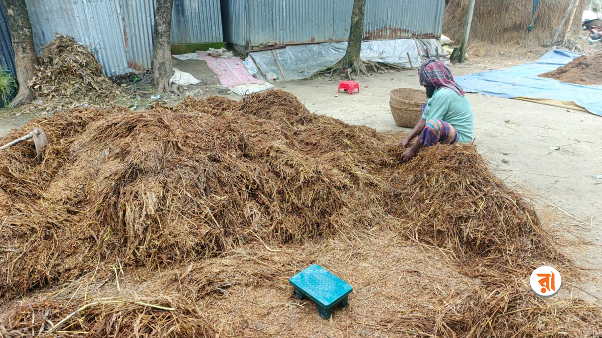 Kishorganj Haor Farmers Sorrow In Eid 28-05-2026 (1)