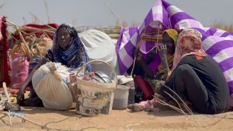 'More than 60,000 people have fled El Fasher, Sudan'