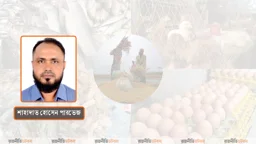 উৎপাদনের হিসাব নয়, পুষ্টিই হোক সাফল্যের মাপকাঠি