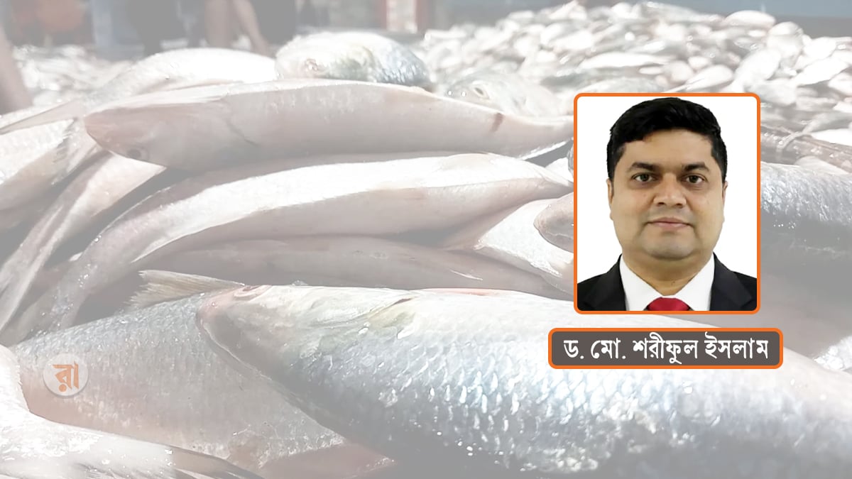 ইলিশ কি সত্যিই বেড়েছিল, নাকি শুধু হিসাব?