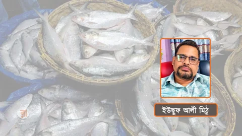 মা ইলিশ রক্ষায় নিষেধাজ্ঞা আছে, বাস্তবায়ন কোথায়?