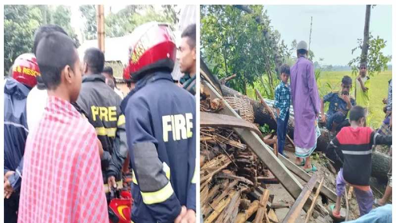 ঝড়ে গাছ উপড়ে পড়ল ঘরে, ঘুমের মধ্যেই প্রাণ গেল মা ও ২ মেয়ের