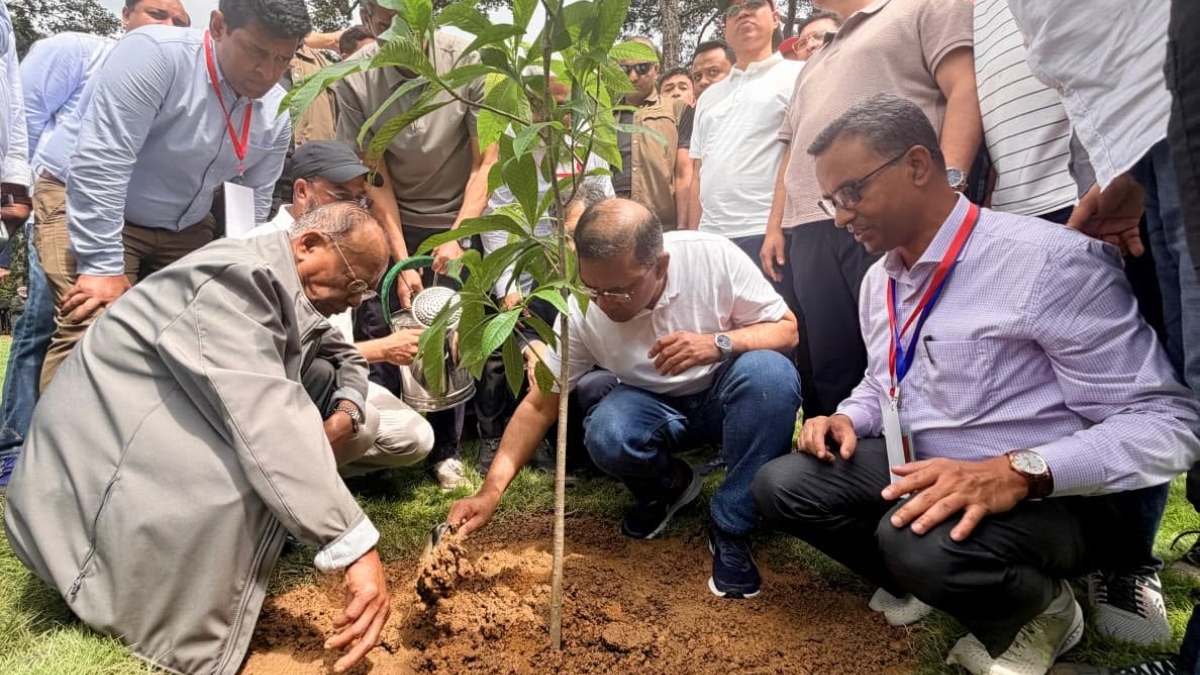 দেশব্যাপী ২৫ কোটি বৃক্ষরোপণ কর্মসূচি উদ্বোধন করলেন প্রধানমন্ত্রী