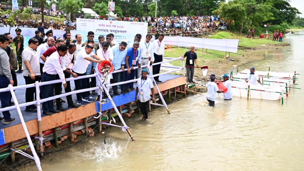 রোববার কিশোরগঞ্জের পাকুন্দিয়ায় পুরাতন ব্রহ্মপুত্র নদে মাছের পোনা অবমুক্ত করেন প্রধানমন্ত্রী তারেক রহমান। ছবি: পিএমও