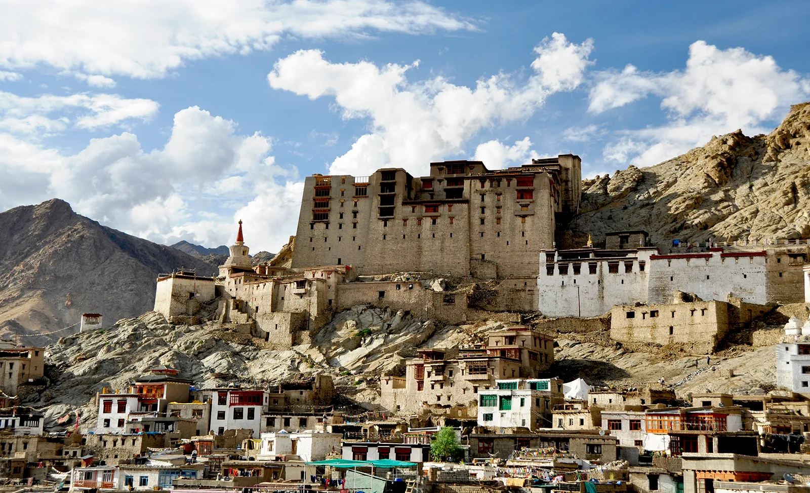 Palace-kings-Leh-Ladakh-India-Jammu-and