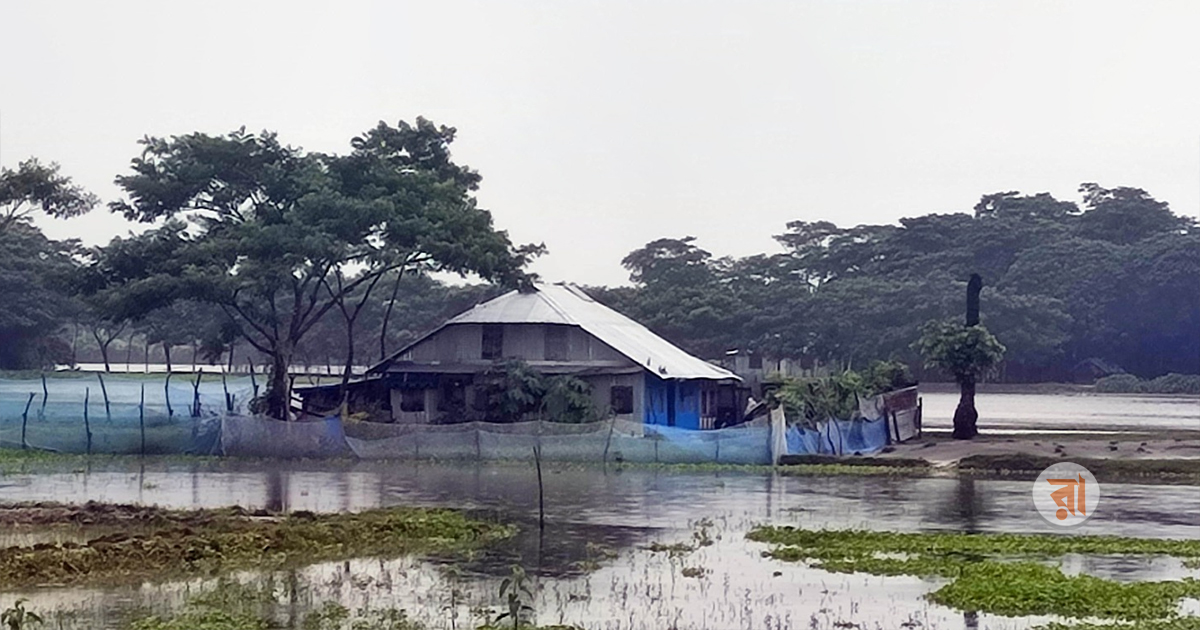 টানা বৃষ্টিতে জলমগ্ন পটুয়াখালী, উপকূলে ডুবেছে বীজতলা