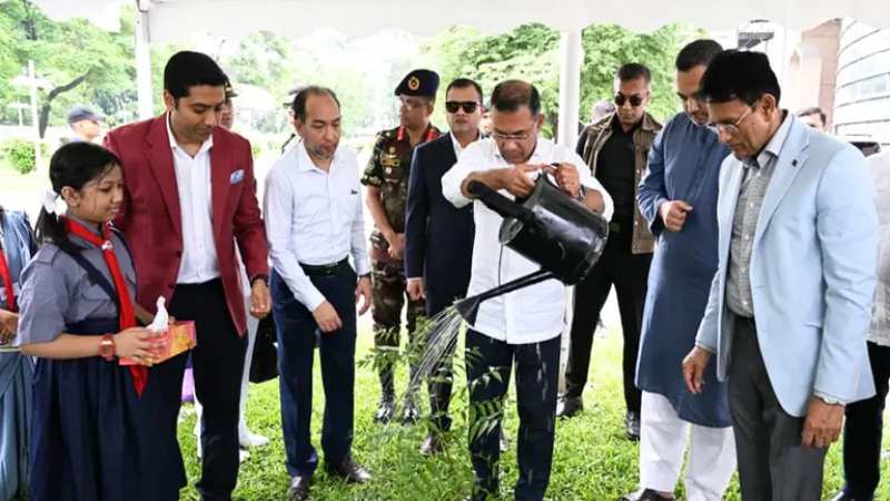 Pm tree plantation program