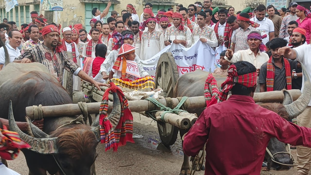 মিঠামইনে বর্ণাঢ্য নববর্ষ উদযাপন, গরু-মহিষের গাড়িতে ব্যতিক্রমী শোভাযাত্রা