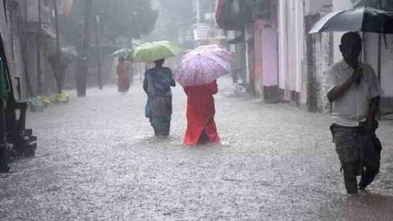 Rain