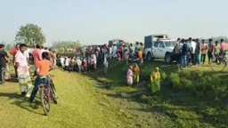 অটোরিকশা চুরির অভিযোগে গণপিটুনি, নিহত ২