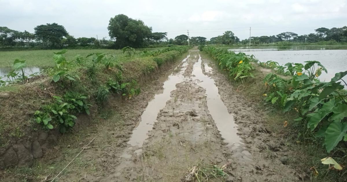 Road construction work halted in Nandail for 6 months, traffic disrupted