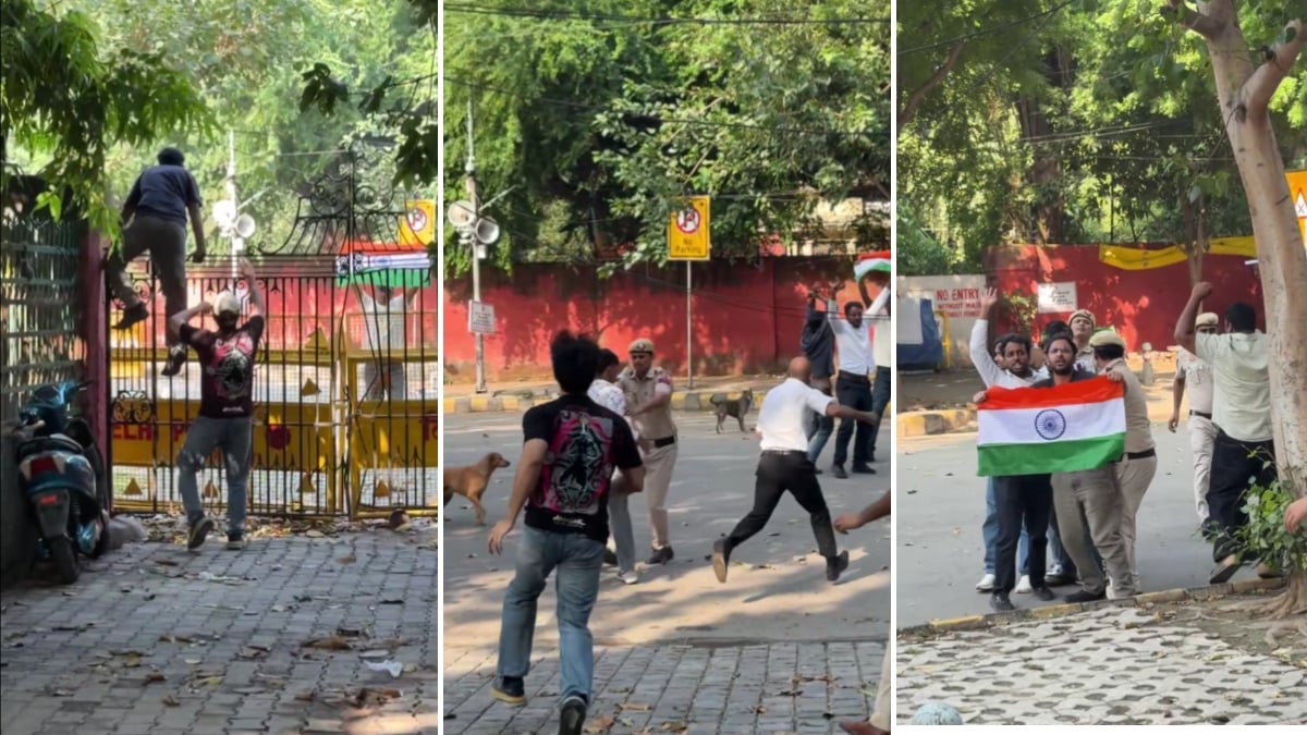 ককরোচ জনতা পার্টির (সিজেপি) মুখপাত্র সৌরভ দাস ও আশুতোষ রাঙ্কাকে মঙ্গলবার সকালে আটক করা হয়। ছবি: আশুতোষের এক্স অ্যাকাউন্ট