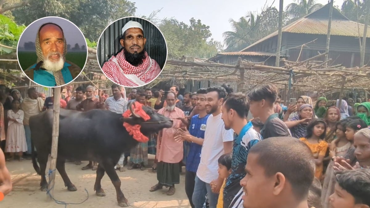 ভোটের বাজি জিতে মহিষ পেলেন বিএনপি সমর্থক